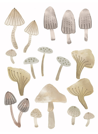 Funky Funghi, Decal